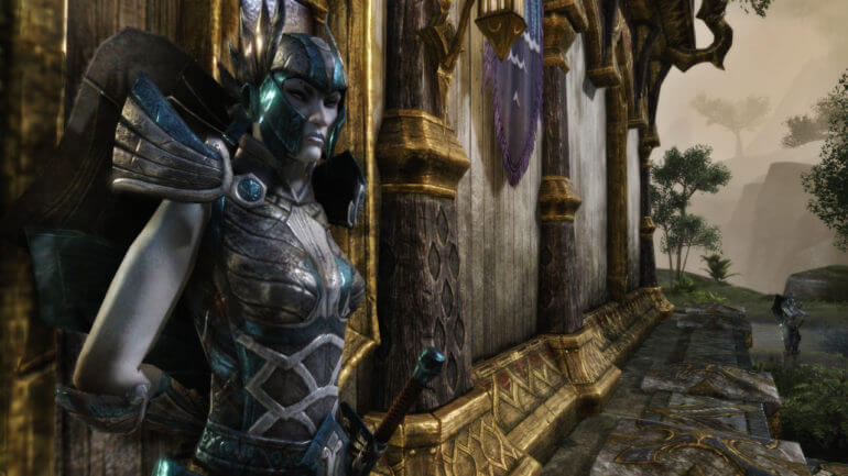 В Elder Scrolls 6 вряд ли появятся новые расы