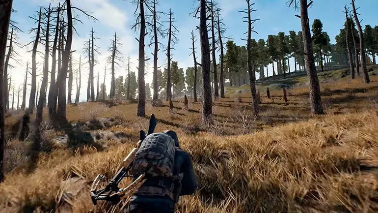 ТОП-10 игр похожих на PUBG (2019) ТОП-10 игр похожих на PUBG (2019)