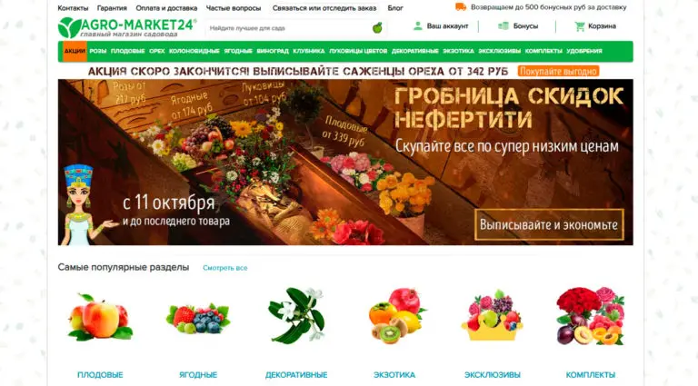 Agromarket24 - саженцы, семена, удобрения, луковицы, рассада почтой в России от магазина. Agromarket24 - саженцы, семена, удобрения, луковицы, рассада почтой в России от магазина.
