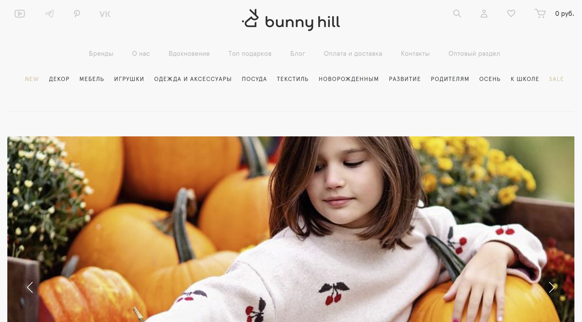 Bunnyhill - интернет магазин игрушек, купить детские игрушки по низким ценам с доставкой по России