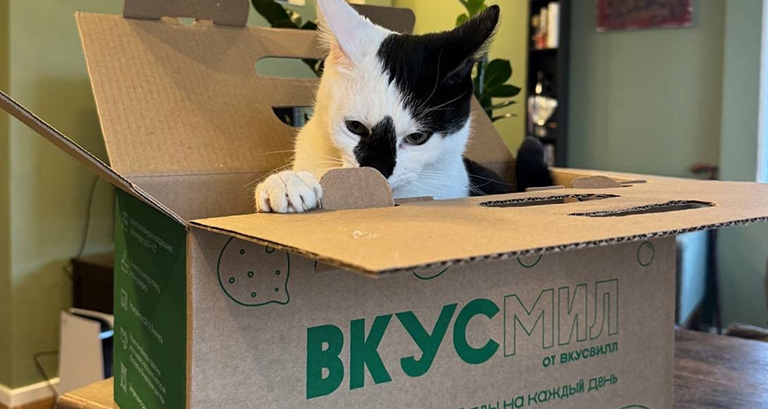 Мой кот тестирует коробку от ВкусМил